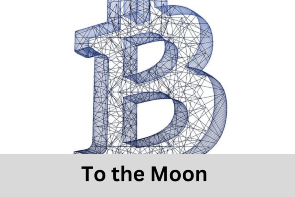BITCOIN PRICE TO THE MOON